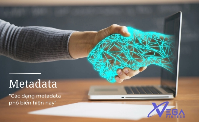 Metadata là gì? Các dạng Metadata phổ biến hiện nay